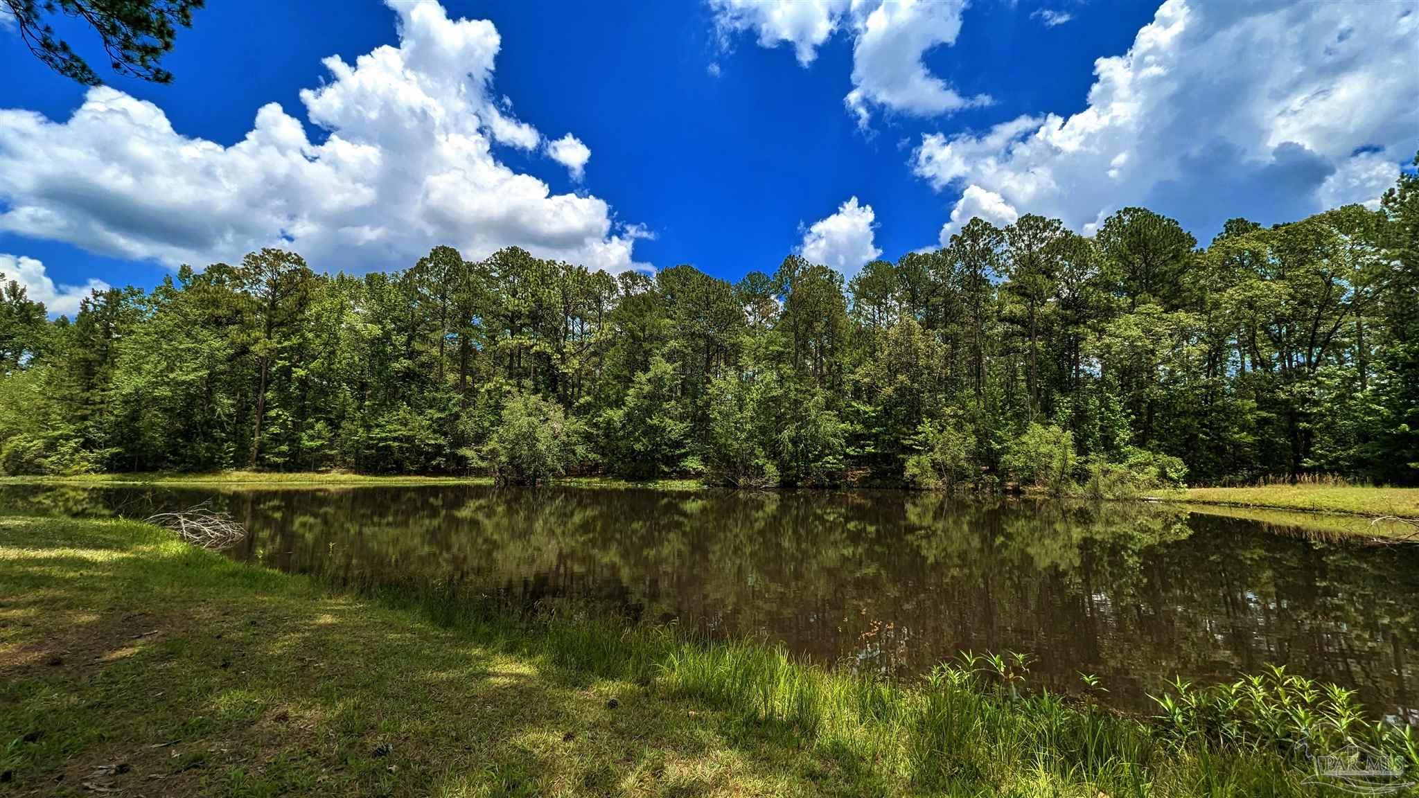 3277 Barlow Road Millry, AL 36558 - Photo 28 of 50