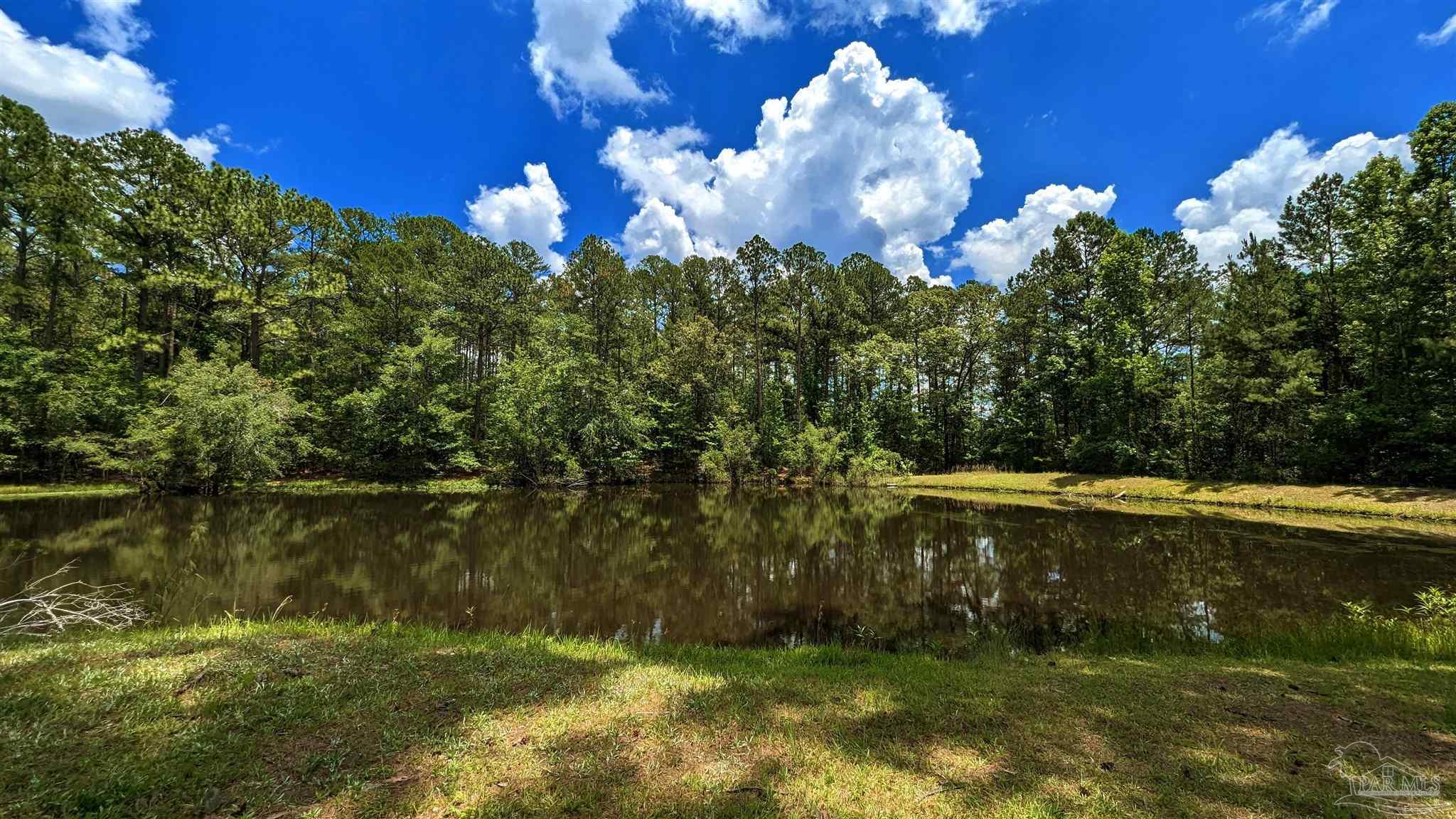 3277 Barlow Road Millry, AL 36558 - Photo 29 of 50