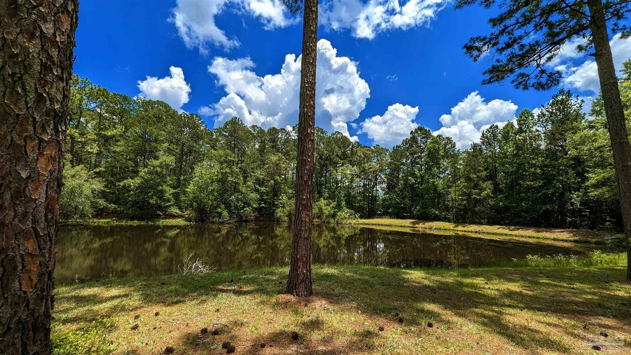 3277 Barlow Road Millry, AL 36558 - Photo 30 of 50