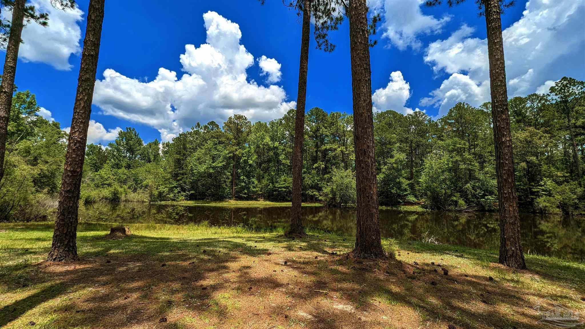 3277 Barlow Road Millry, AL 36558 - Photo 31 of 50