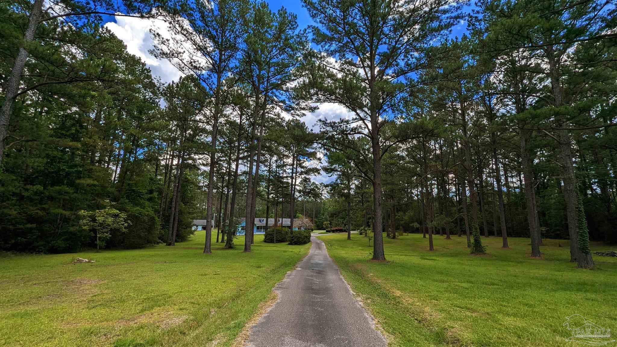 3277 Barlow Road Millry, AL 36558 - Photo 44 of 50