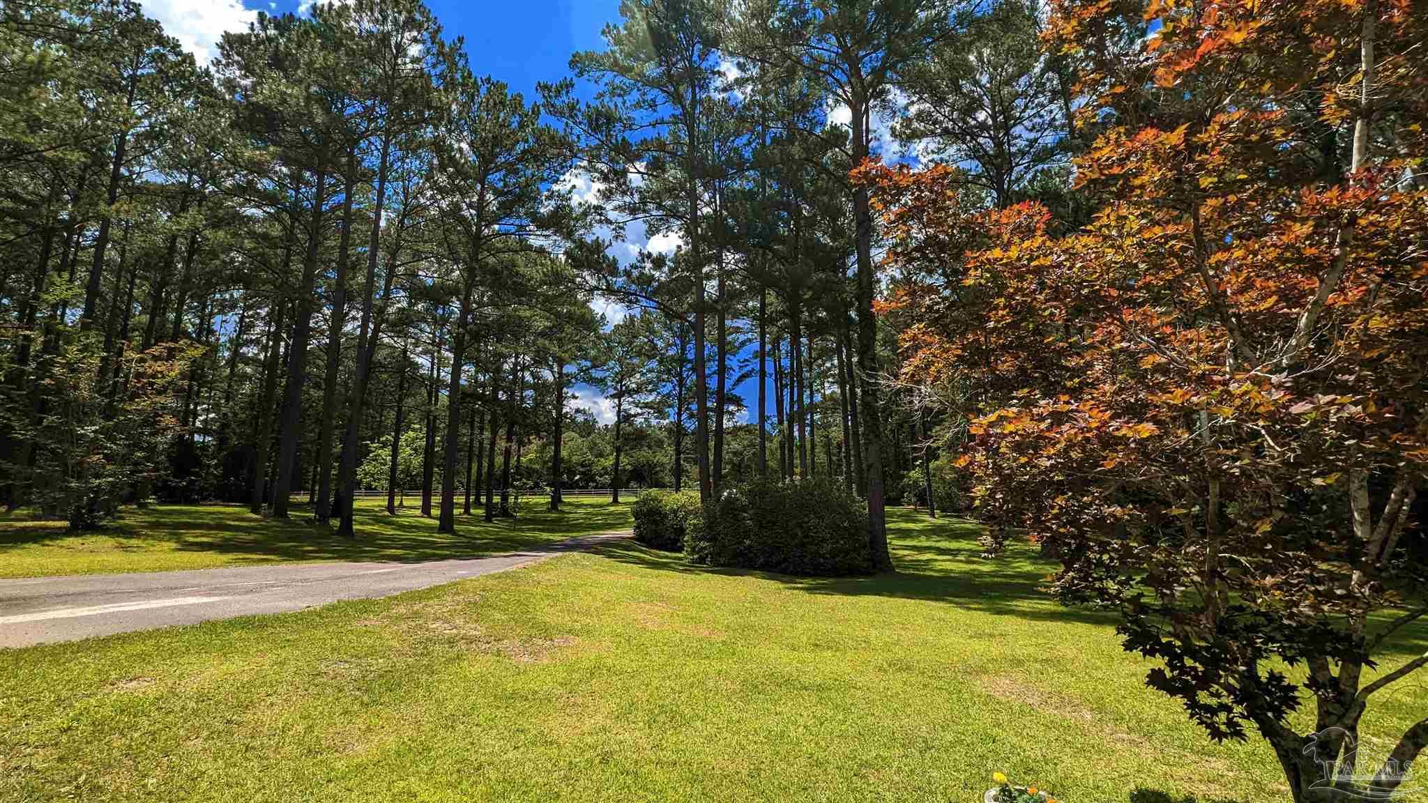 3277 Barlow Road Millry, AL 36558 - Photo 47 of 50