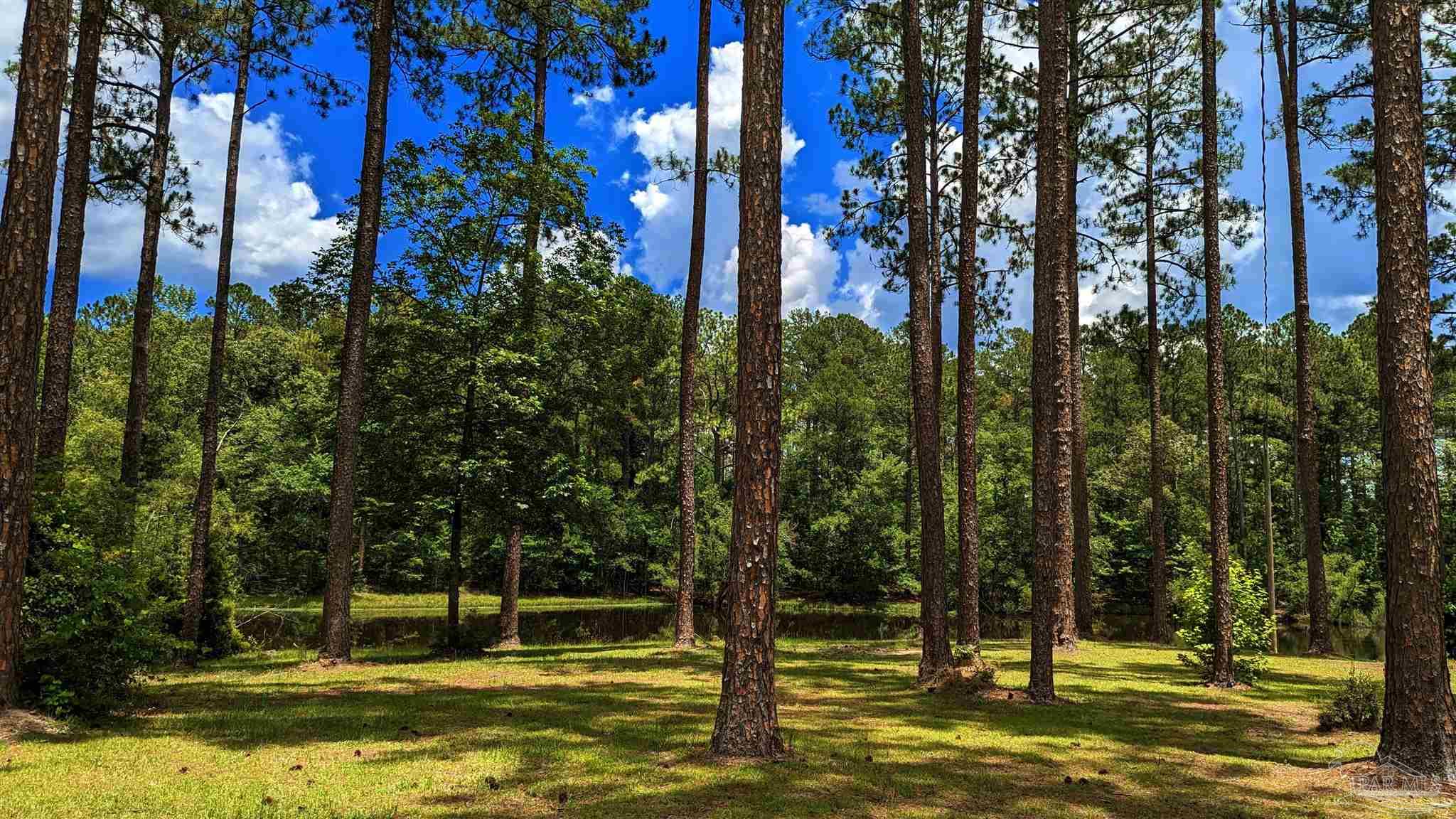 3277 Barlow Road Millry, AL 36558 - Photo 49 of 50