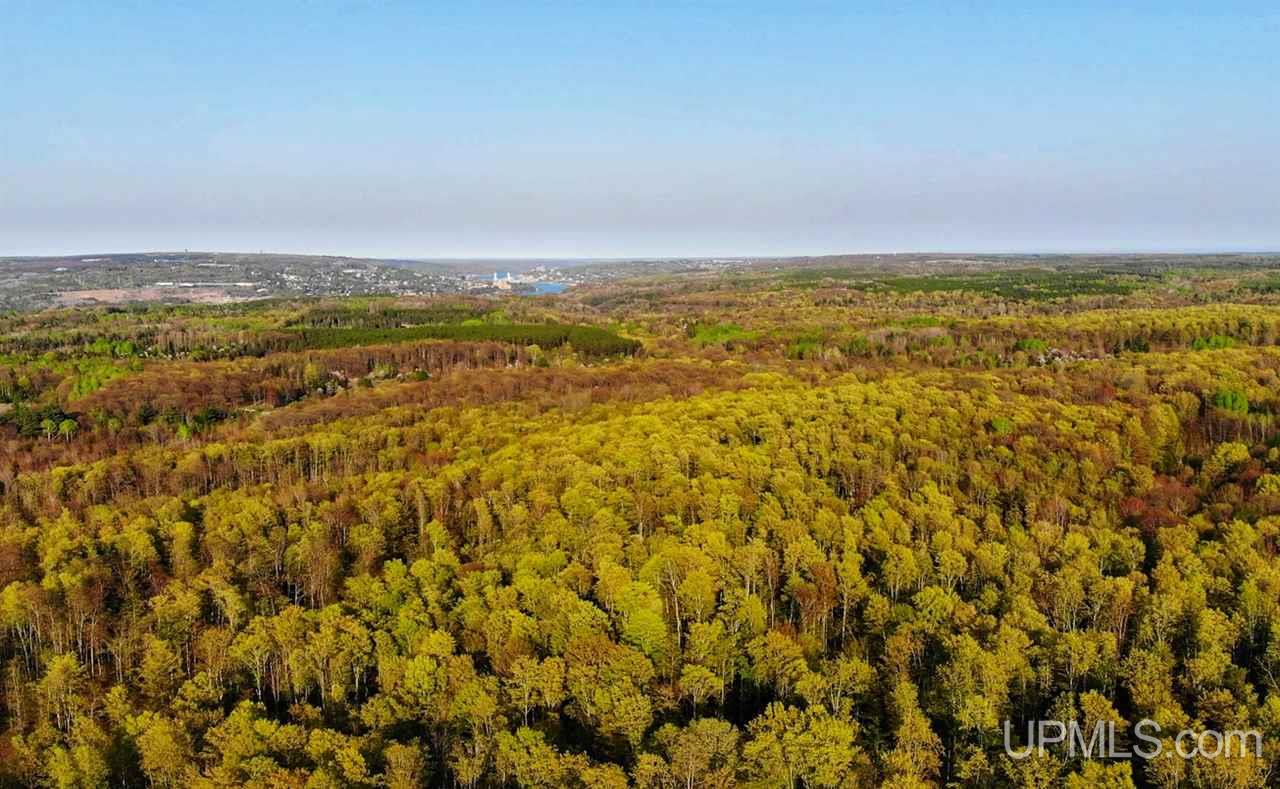 Tbd Coles Creek Road, Unit PARCEL 11 Hancock, MI 49931 - Photo 3 of 12