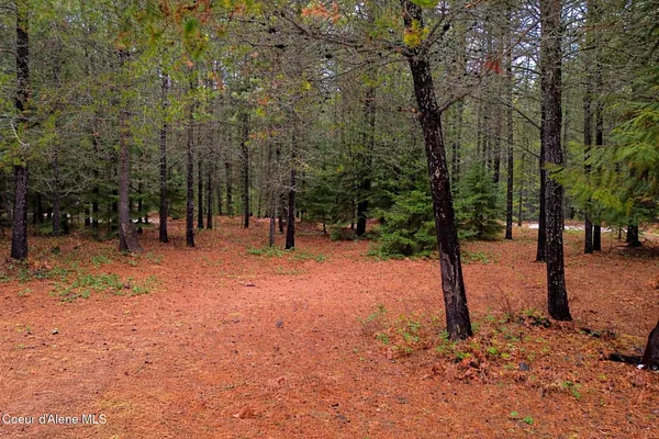 $170,000 | 250 Chief Joseph Lane, Sandpoint, ID 83864