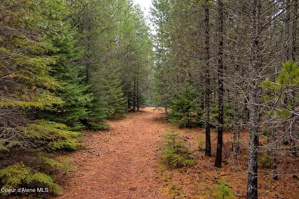$170,000 | 250 Chief Joseph Lane, Sandpoint, ID 83864