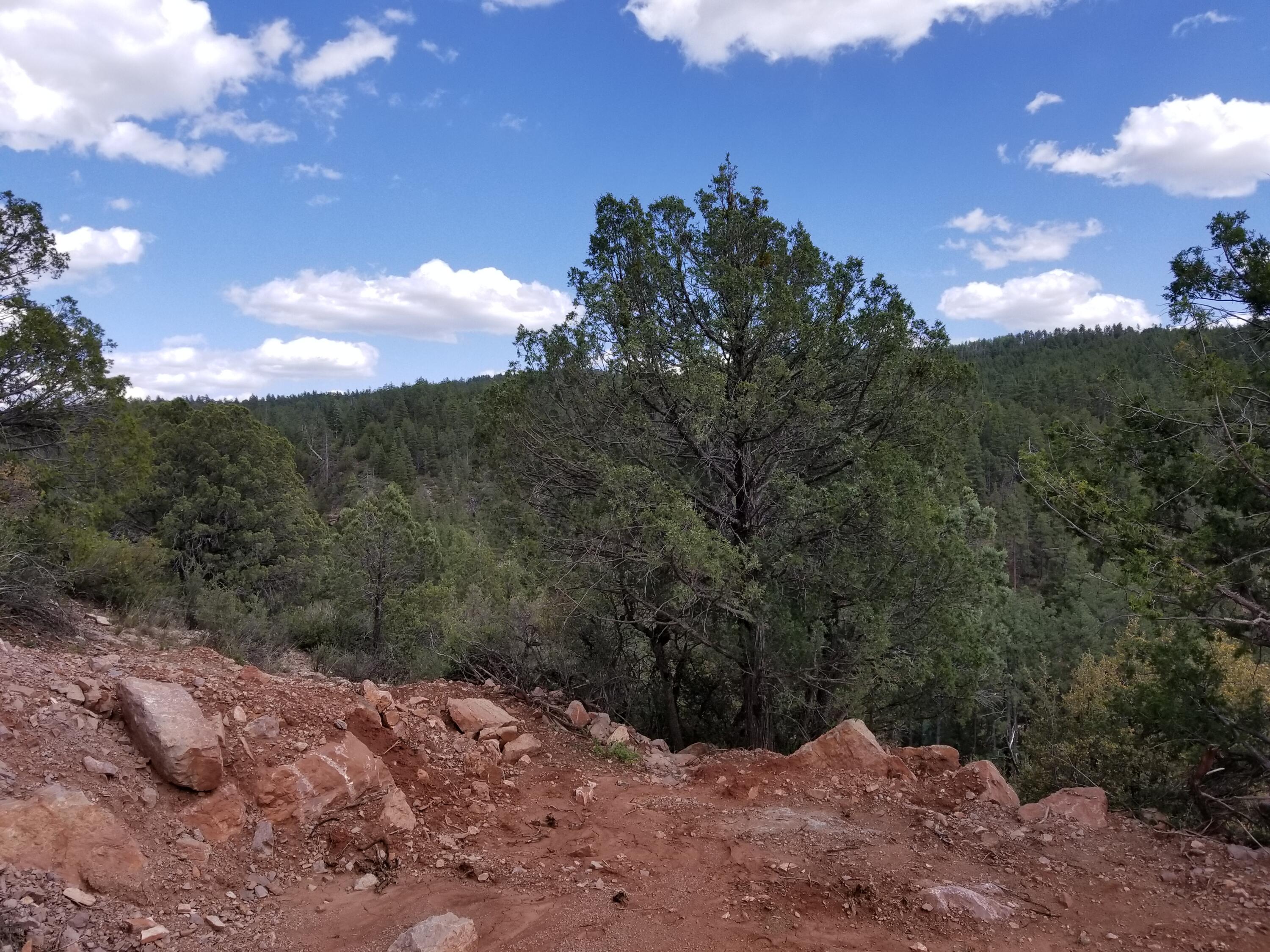 17033 Control Road Payson, AZ 85541 - Photo 23 of 28