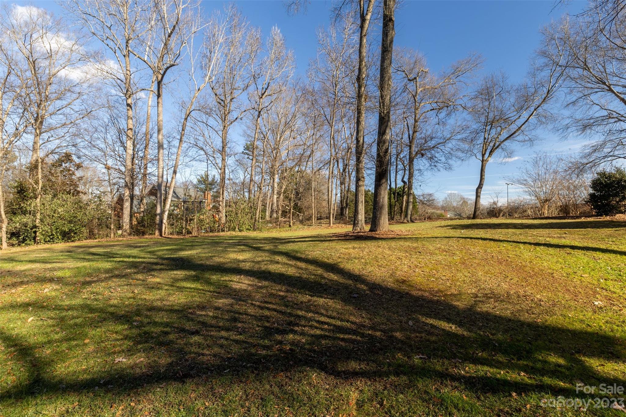 1378 Braeburn Road Northwest Concord, NC 28027 - Photo 35 of 36 a view of dirt yard with large trees
