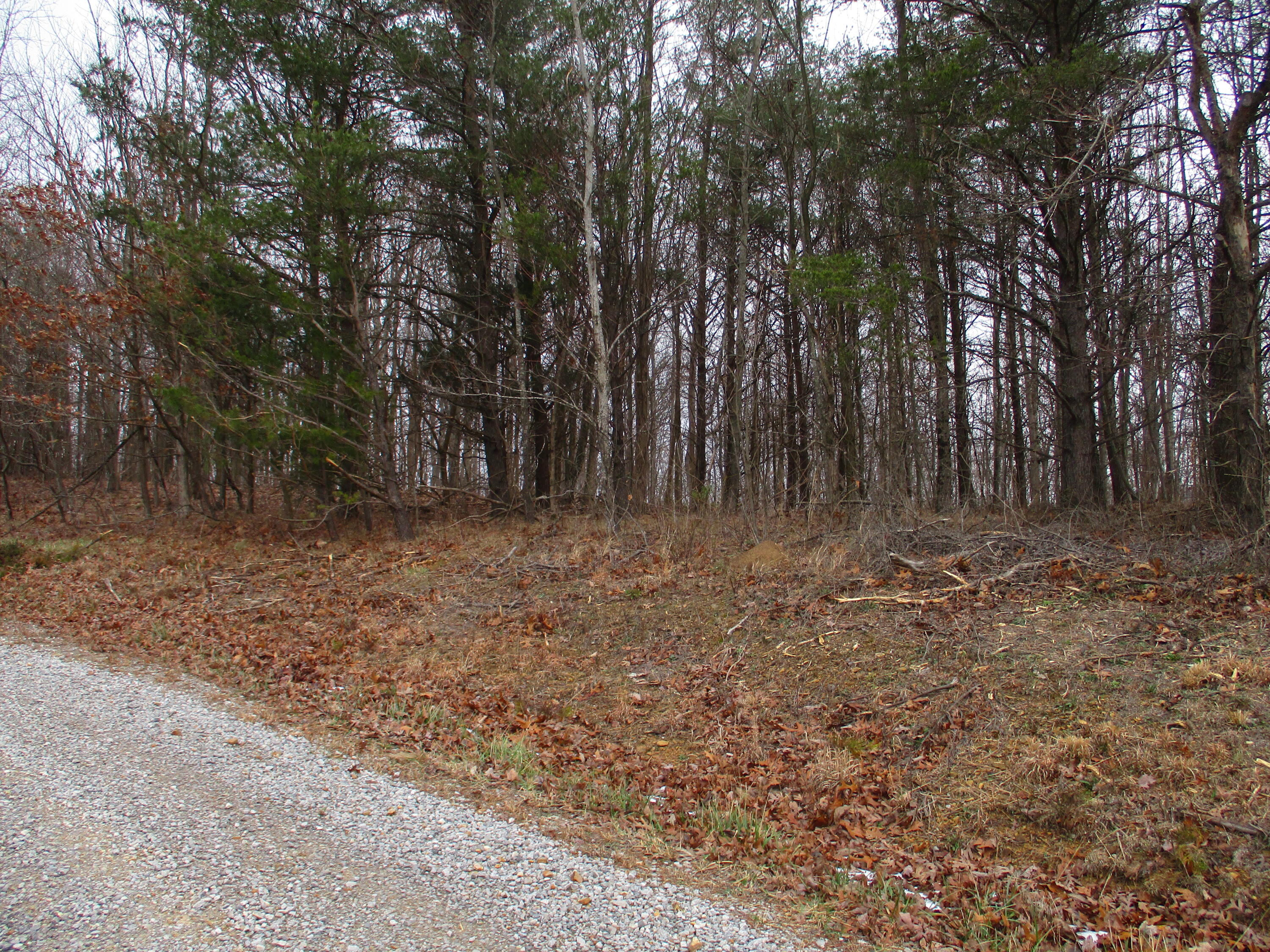 3 Briley Road, Unit 3 Spring City, TN 37381 - Photo 2 of 24 IMG_1177