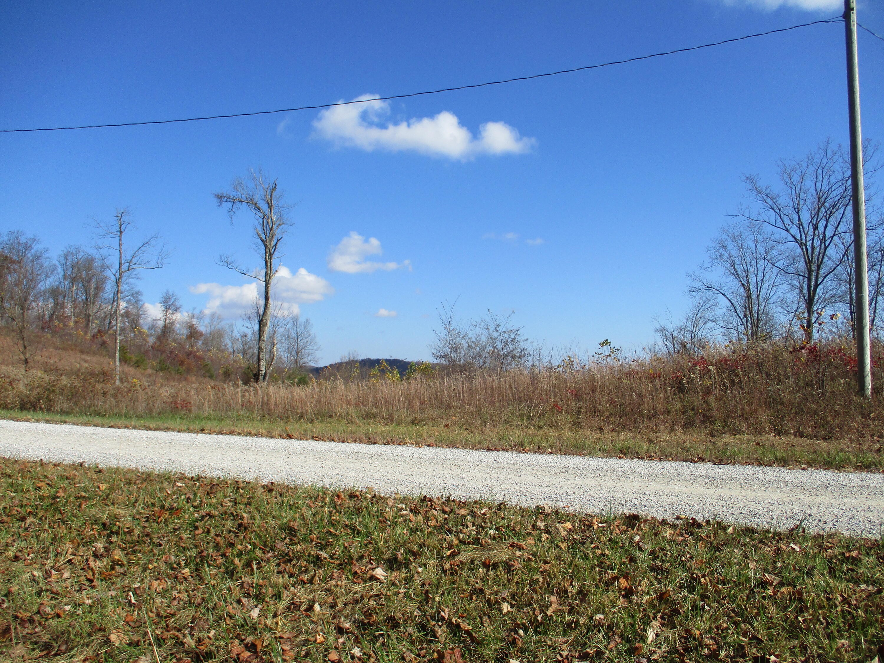 3 Briley Road, Unit 3 Spring City, TN 37381 - Photo 24 of 24 IMG_1701