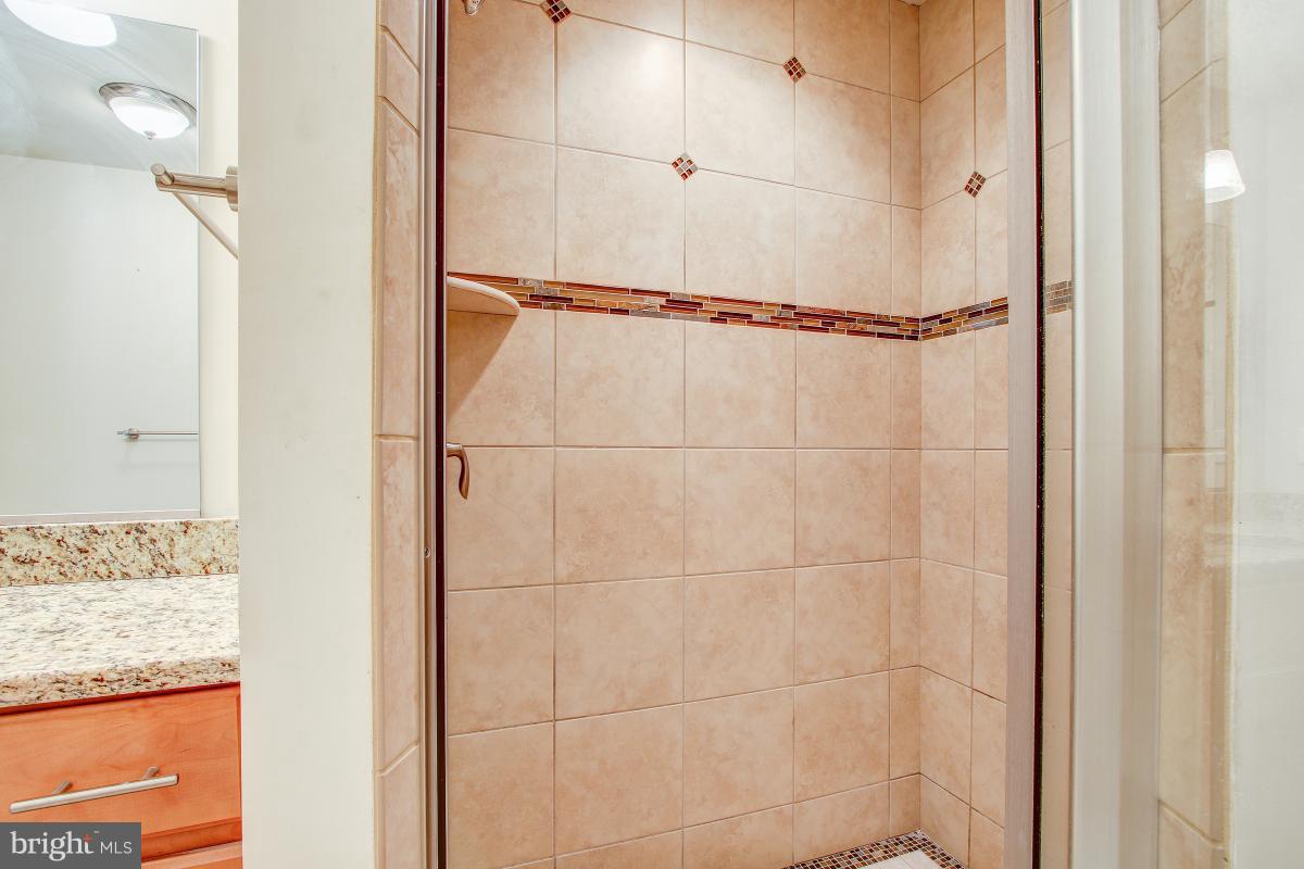 1700 Beaver Circle Reston, VA 20190 - Photo 22 of 30 Bath (Master)