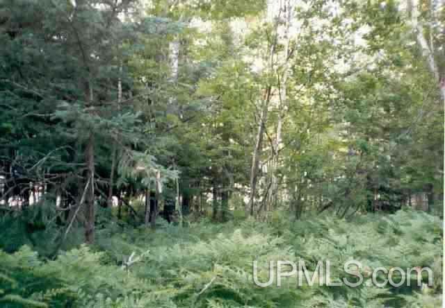 Tbd Off Mullers Road, Unit 2 Felch, MI 49831 - Photo 1 of 1