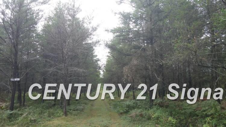 West Huron Road Au Gres, MI 48703 - Photo 1 of 21