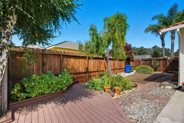 a view of a backyard with potted plants and a large tree