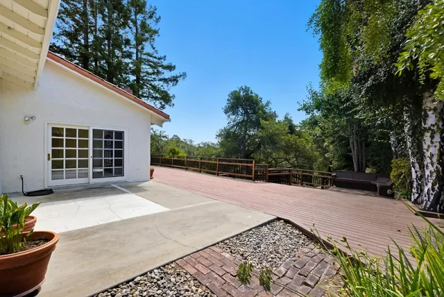 a view of a backyard with plants and trees