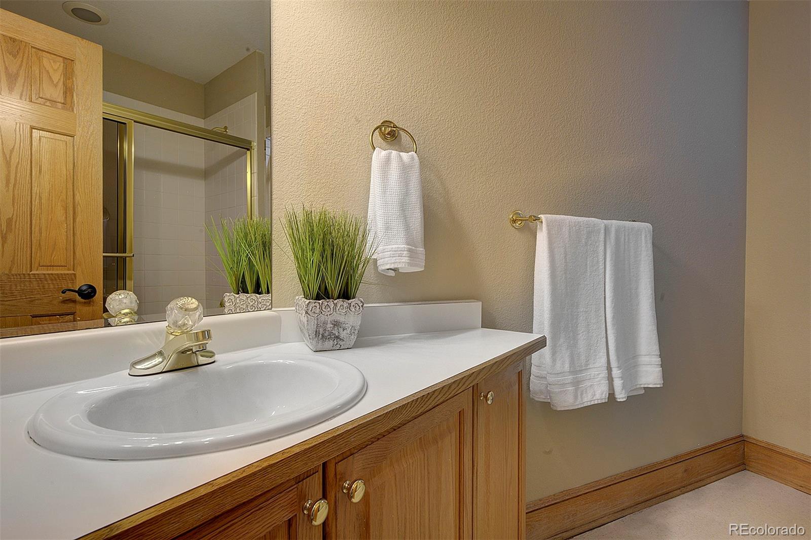 2191 Baldy Lane Evergreen, CO 80439 - Photo 34 of 46