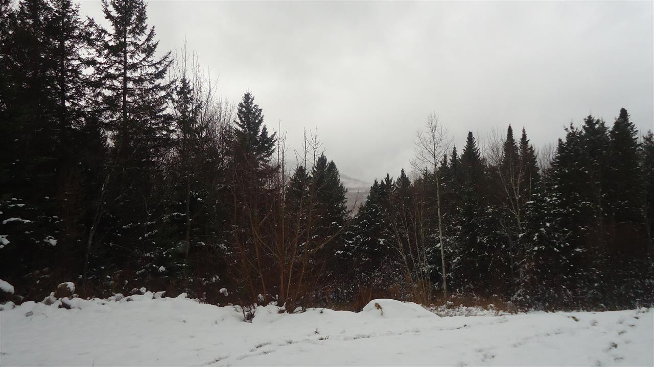 352 Marshall Hill Road Columbia, NH 03576 - Photo 8 of 26