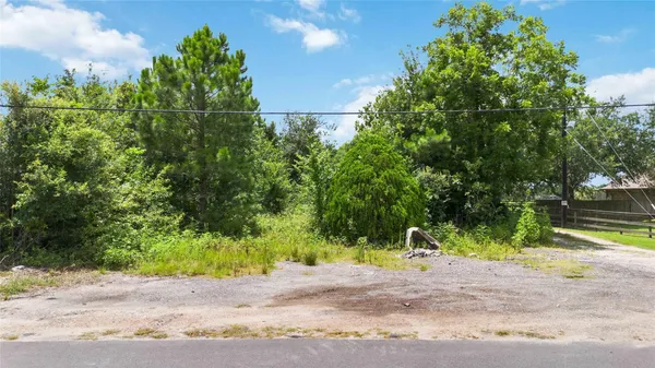 a street view with a trees