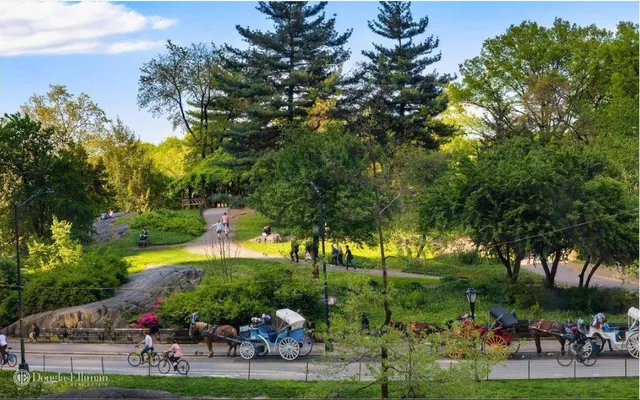 a view of a park with large trees