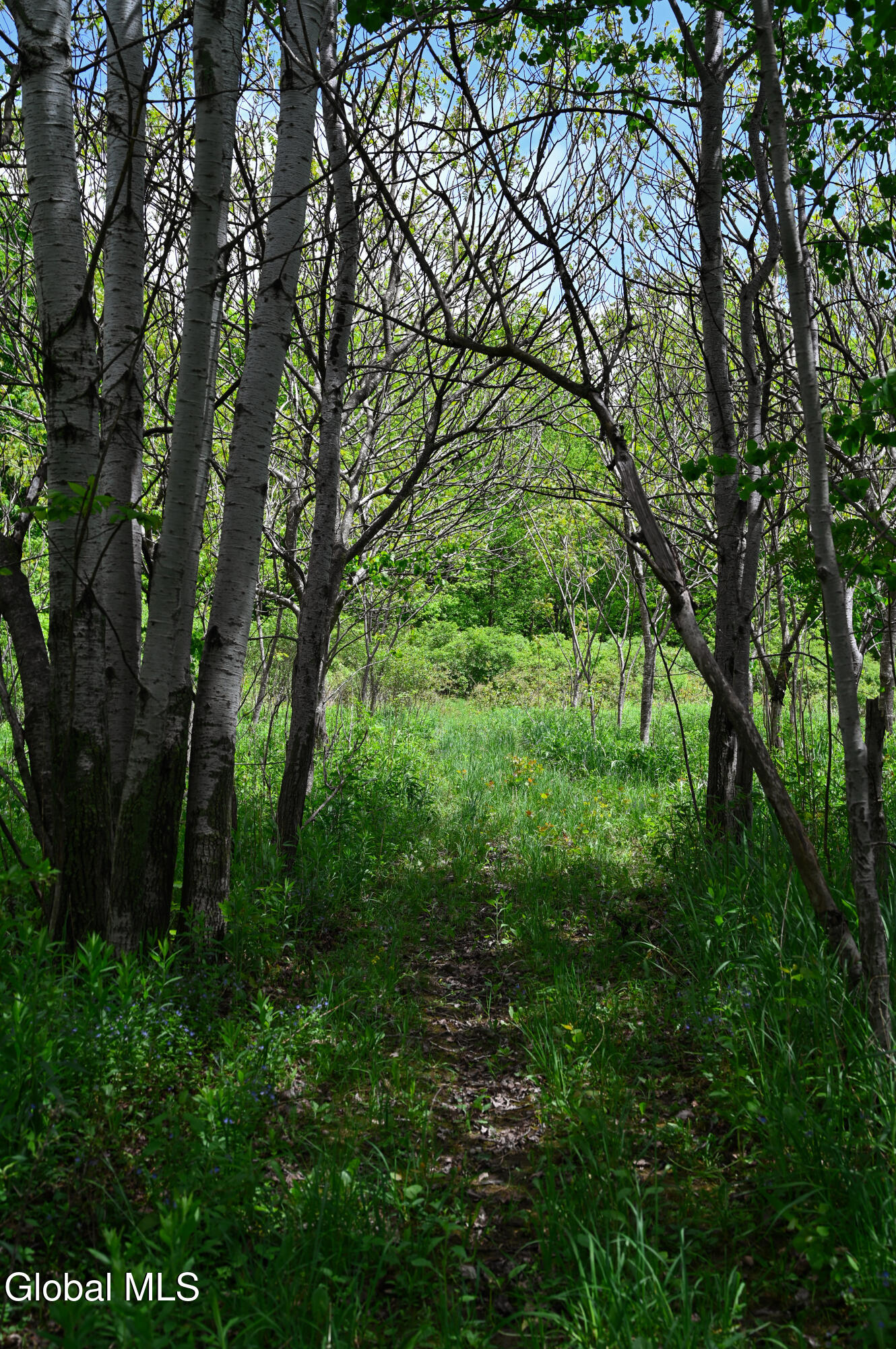 144 Maple Bush Road Cobleskill, NY 12043 - Photo 61 of 83 DSC_7254