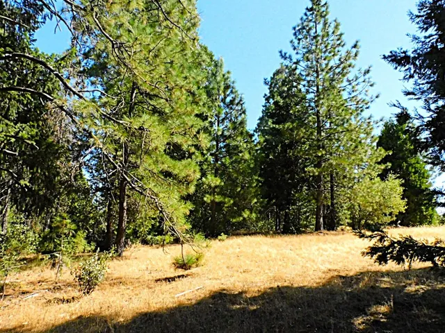 a view of back yard of the house