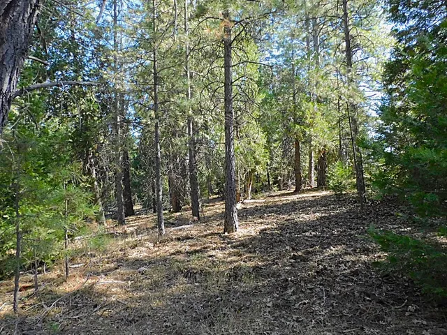 a view of a yard covered in snow