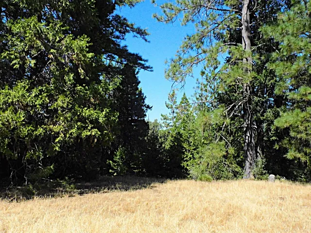 $199,500 | 10 Woodland Court, Placerville, CA 95667