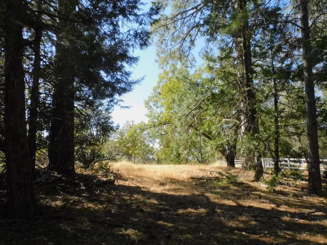 $199,500 | 10 Woodland Court, Placerville, CA 95667