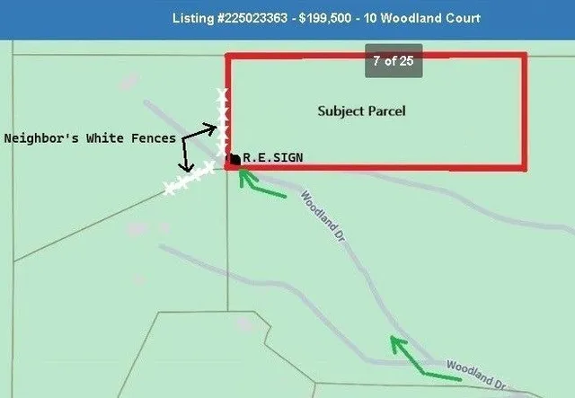 a view of a tree with a tree