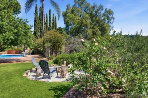 a view of a yard with plants and trees