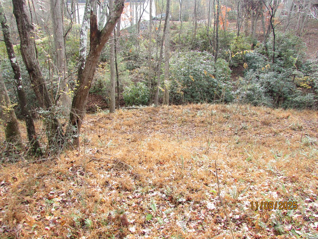 6 Wikle Road Hayesville, NC 28904 - Photo 12 of 19 Gallery Image 12
