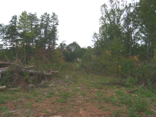 0 Old Dunham Bridge Road Greenville, SC 29611 - Photo 2 of 4 Gallery Image 2