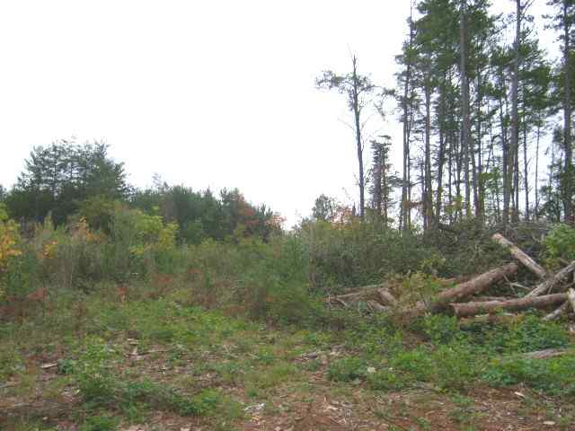 0 Old Dunham Bridge Road Greenville, SC 29611 - Photo 3 of 4 Gallery Image 3