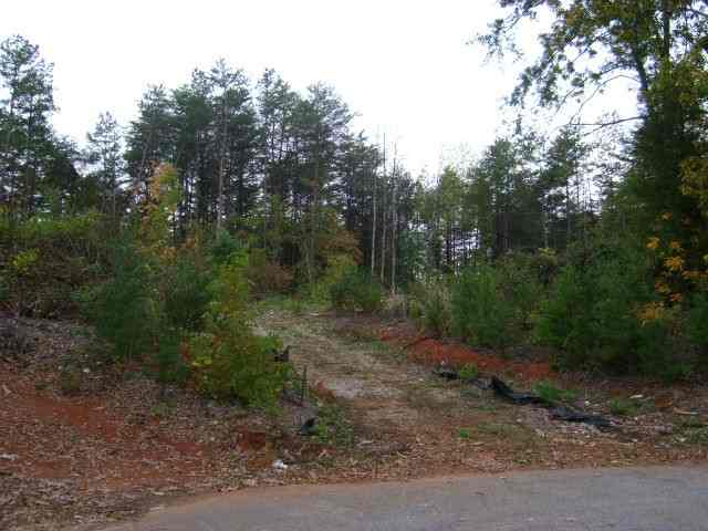 0 Old Dunham Bridge Road Greenville, SC 29611 - Photo 4 of 4 Gallery Image 4