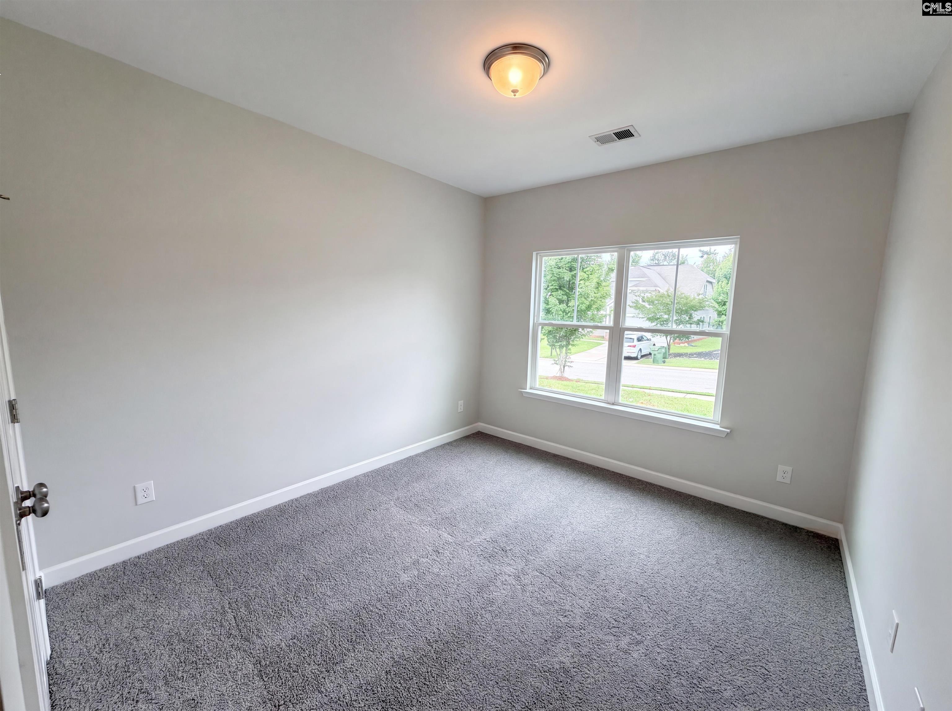 345 Hollow Cove Road Chapin, SC 29036 - Photo 15 of 23