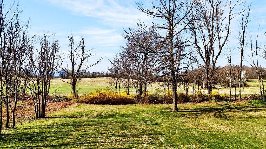 933 Ladd Road Waynesboro, VA 22980 - Photo 62 of 64