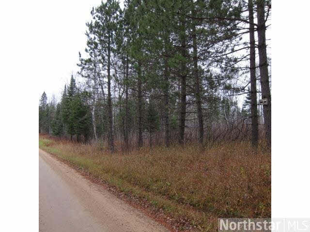 51-xxx County Rd 36 Spring Lake, MN 56636 - Photo 4 of 4