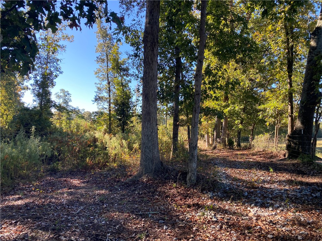 0 Fred Dean Road Starr, SC 29684 - Photo 3 of 4