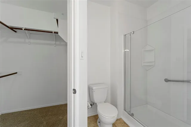a bathroom with a shower and a toilet