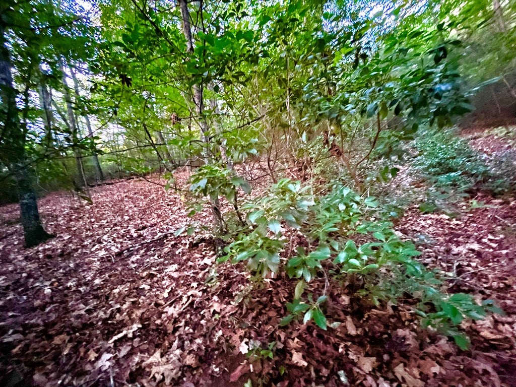 0 Old Ferry Road, Unit 76A1B Galax, VA 24333 - Photo 13 of 23 Gallery Image 13