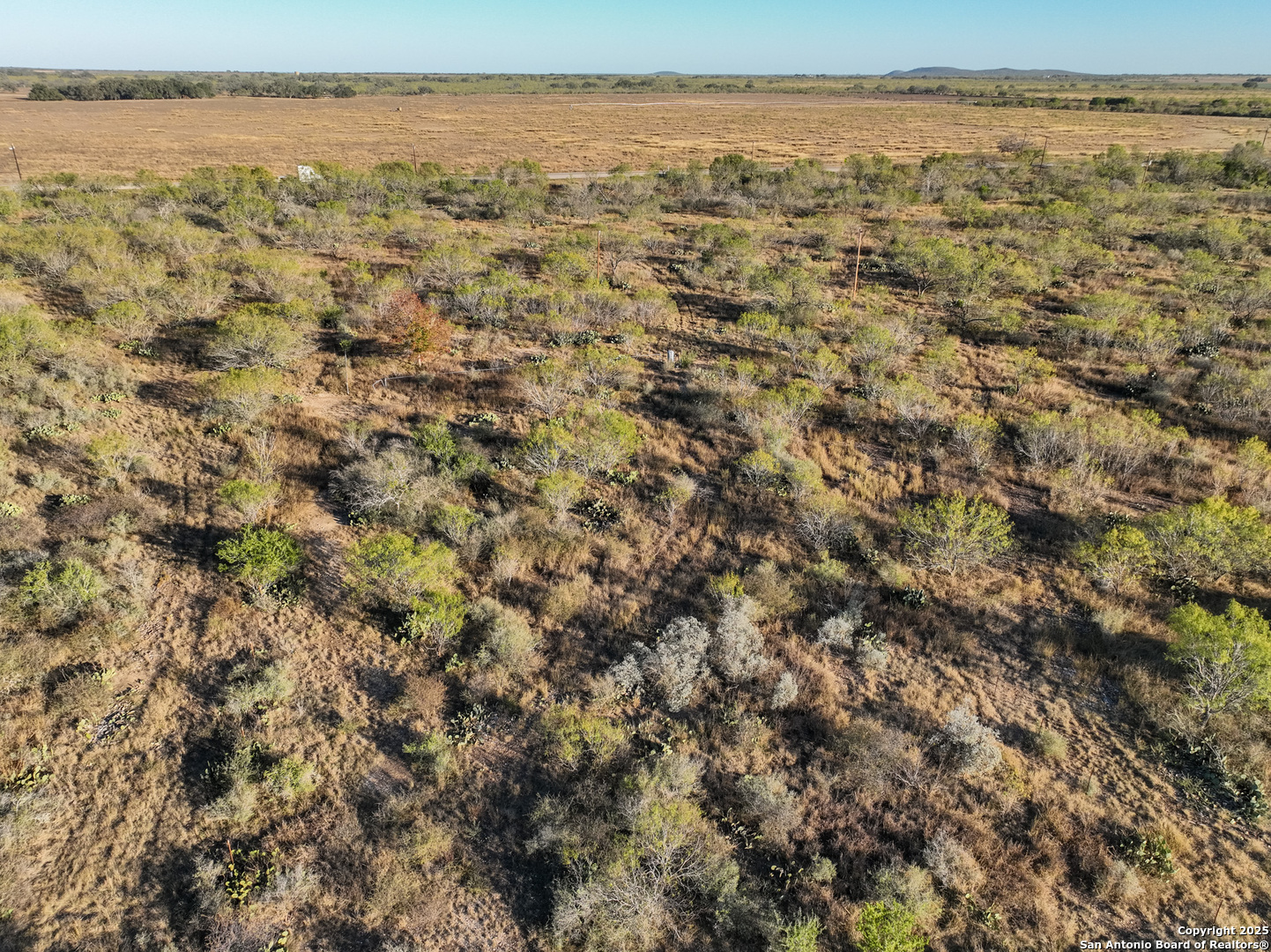 429 County Road 429 Uvalde, TX 78801 - Photo 12 of 17