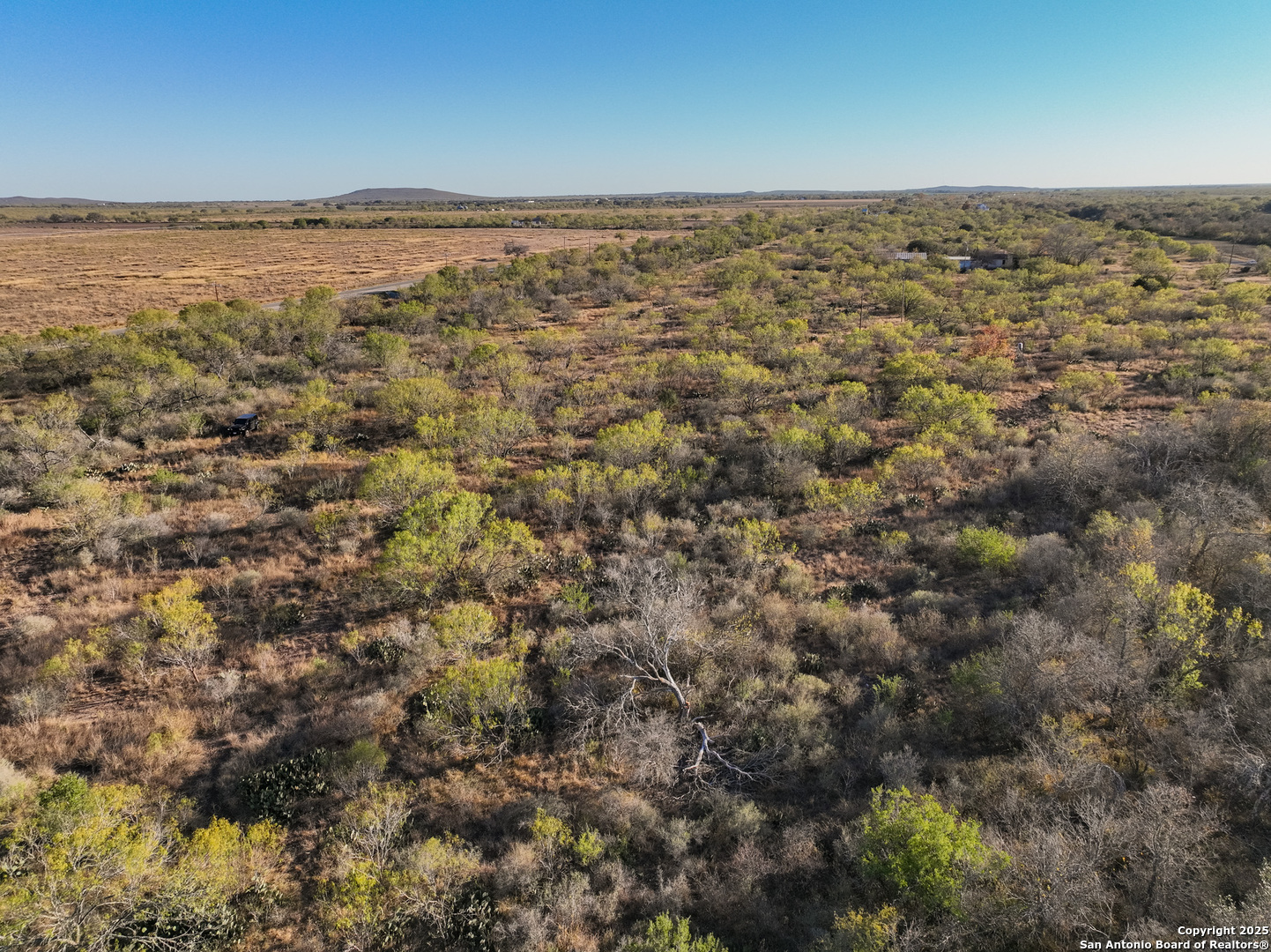 429 County Road 429 Uvalde, TX 78801 - Photo 10 of 17