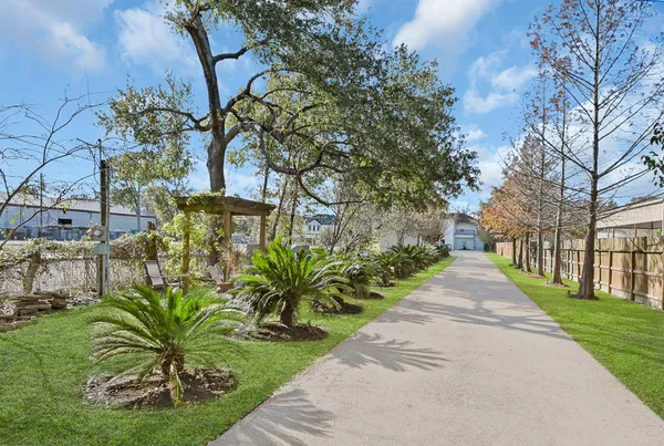 a view of a garden with plants and trees
