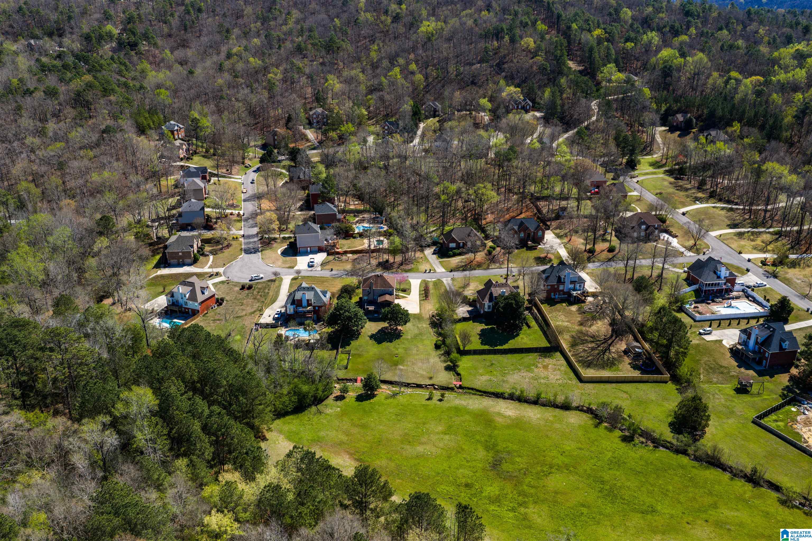248 Silverleaf Drive Pelham, AL 35124 - Photo 68 of 72