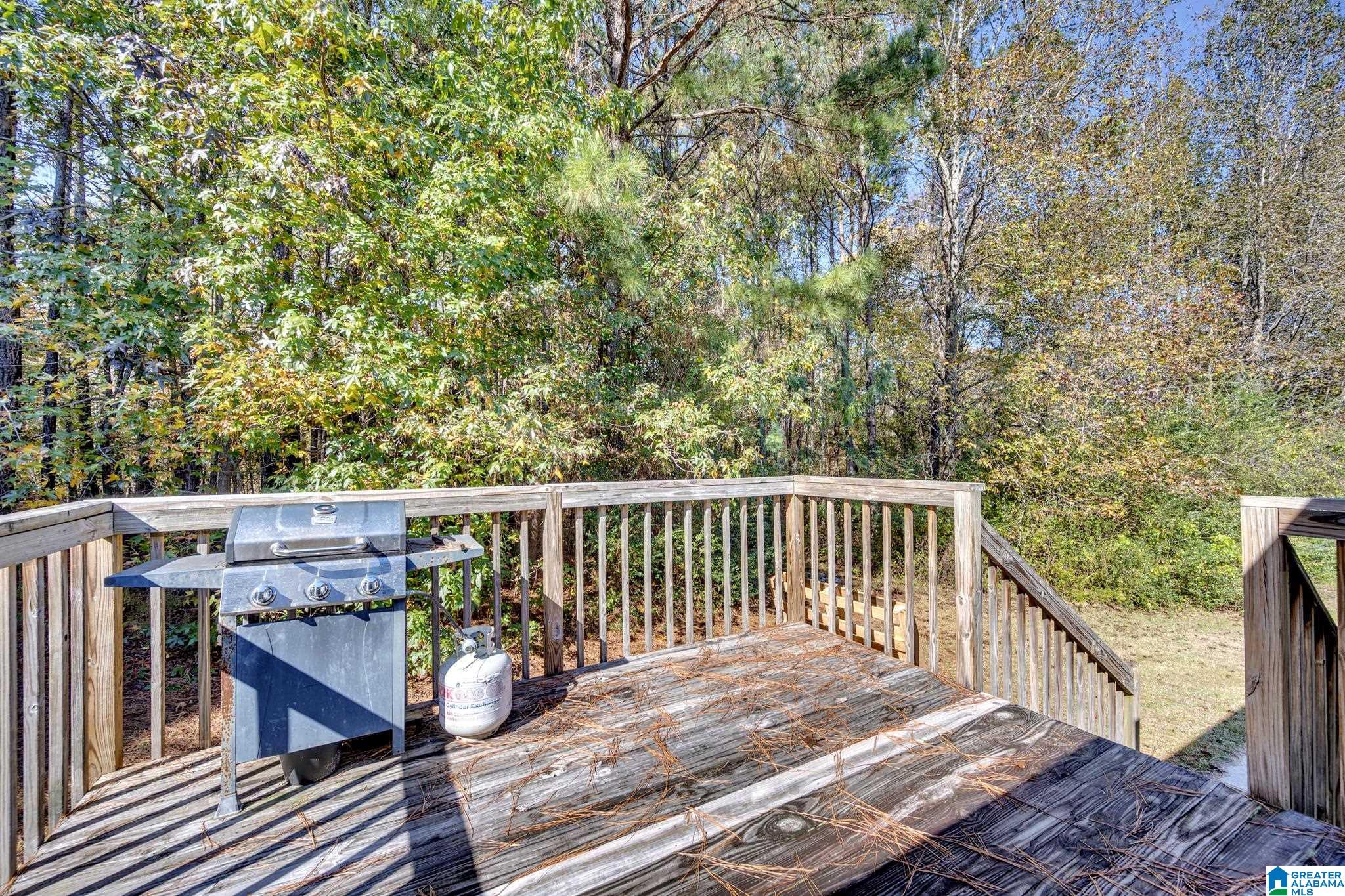 37 Hidden Circle Hayden, AL 35079 - Photo 19 of 22