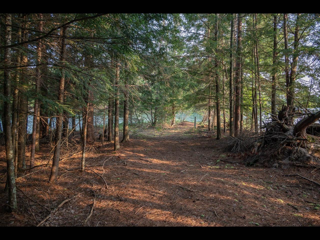 On Wendt Road Lake Tomahawk, WI 54539 - Photo 24 of 27 Gallery Image 24