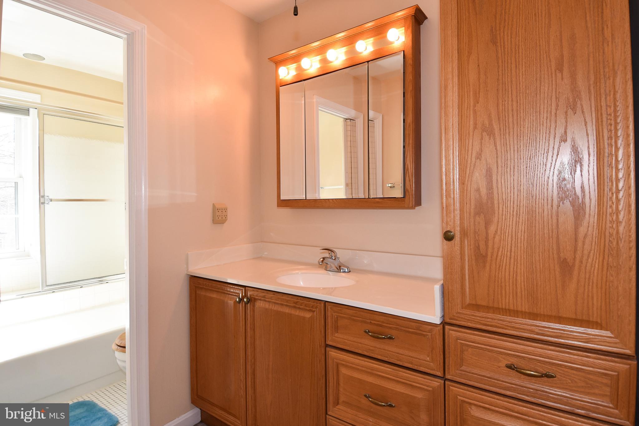 11988 Sentinel Point Court Reston, VA 20191 - Photo 32 of 54 Master Bath