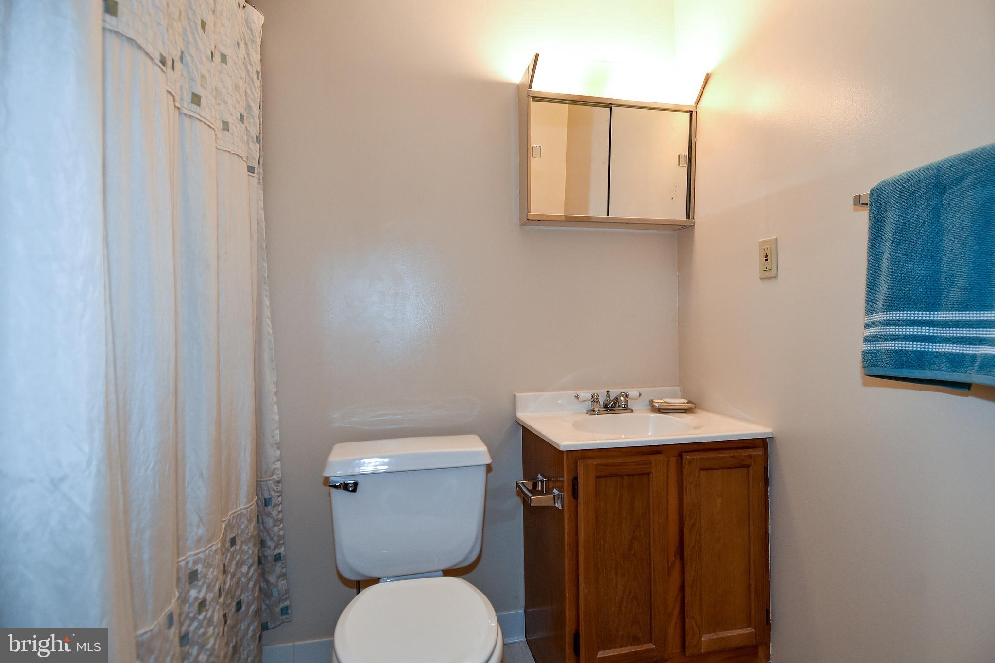 11988 Sentinel Point Court Reston, VA 20191 - Photo 44 of 54 Basement Full Bath