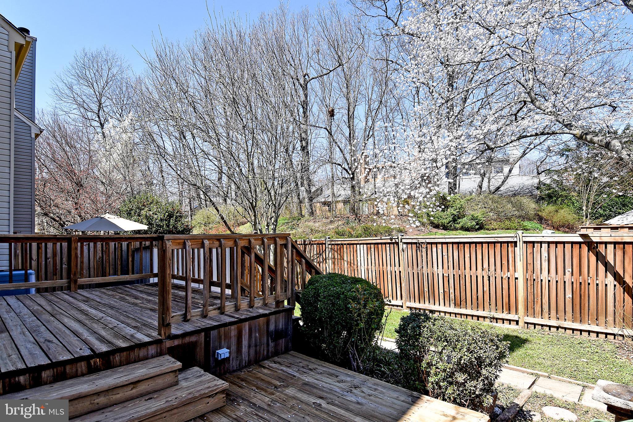 11988 Sentinel Point Court Reston, VA 20191 - Photo 48 of 54 Gorgeous Backyard Oasis