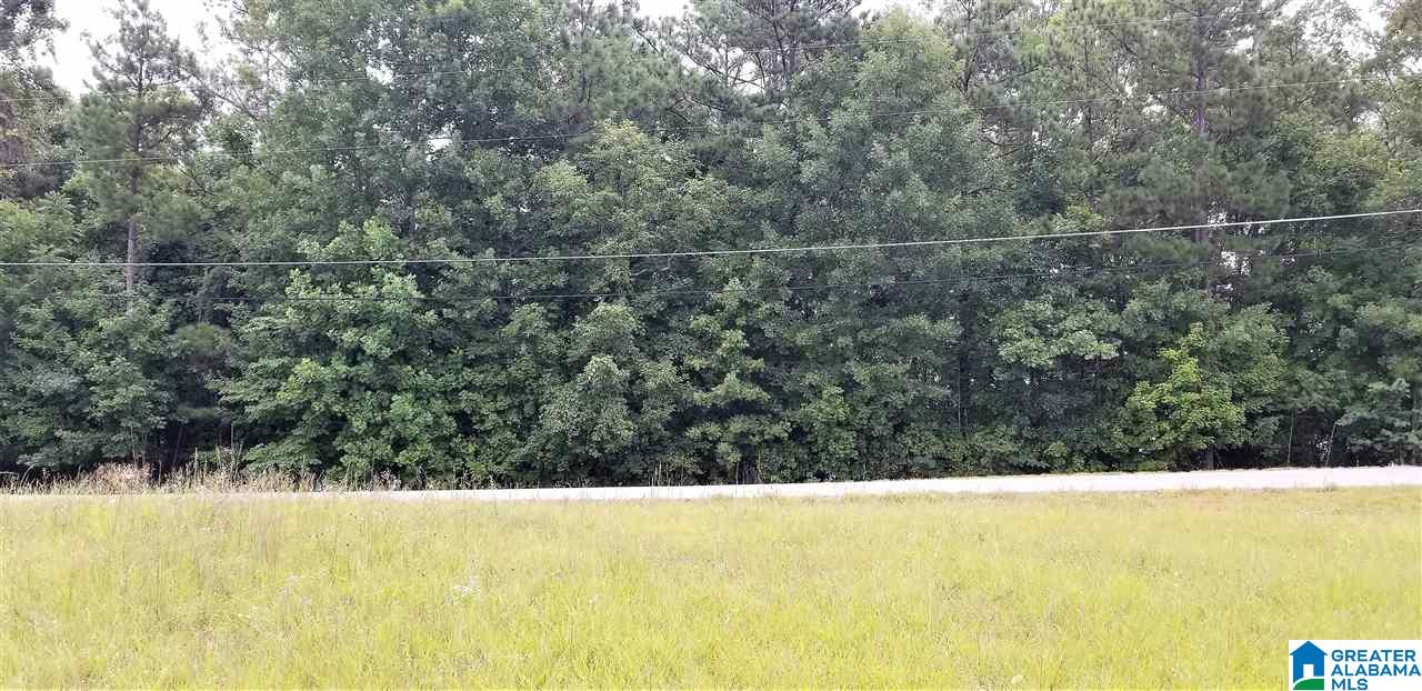 0 Briar Cliff Road, Unit 12 Rainbow City, AL 35906 - Photo 26 of 29